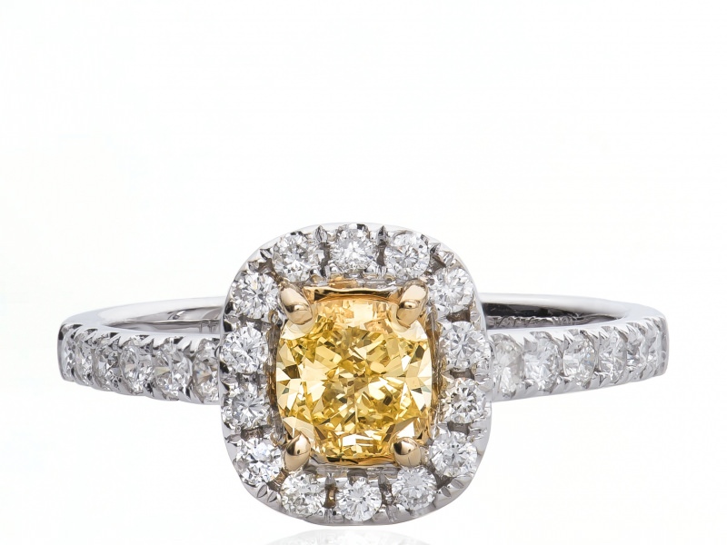 No image available for this item.